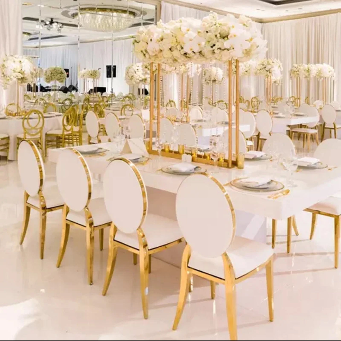 Washington Dior Banquet Chair